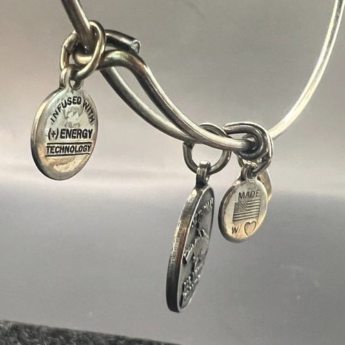 Alex and Ani Silver Bangle Bracelet St Thomas Virgin Islands Charms Adjustable - Picture 4 of 11