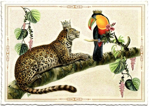 Edition Tausendschön | Postkarte A6 | Flora & Fauna | Motiv wählbar - Bild 64 von 78