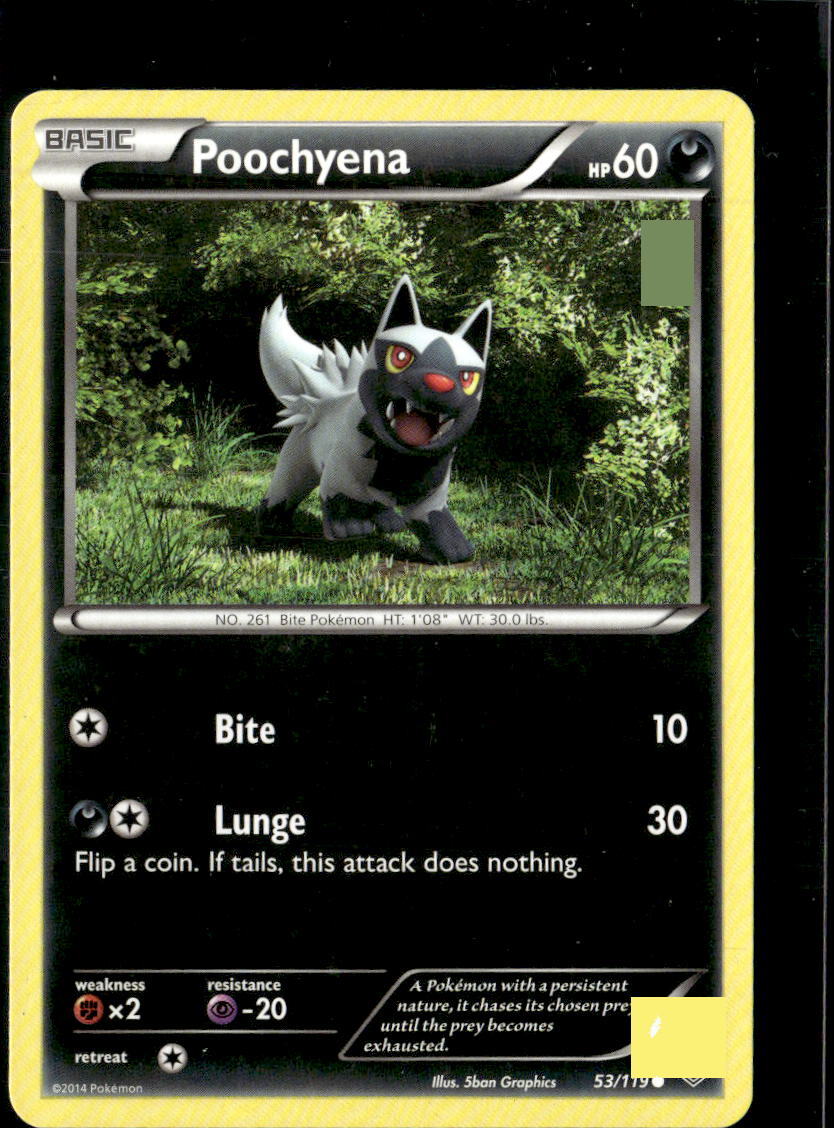 Pokemon Poochyena 53/119 Phantom Forces Non Holo Common  2 Card Lot