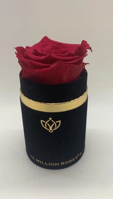 The Million Roses