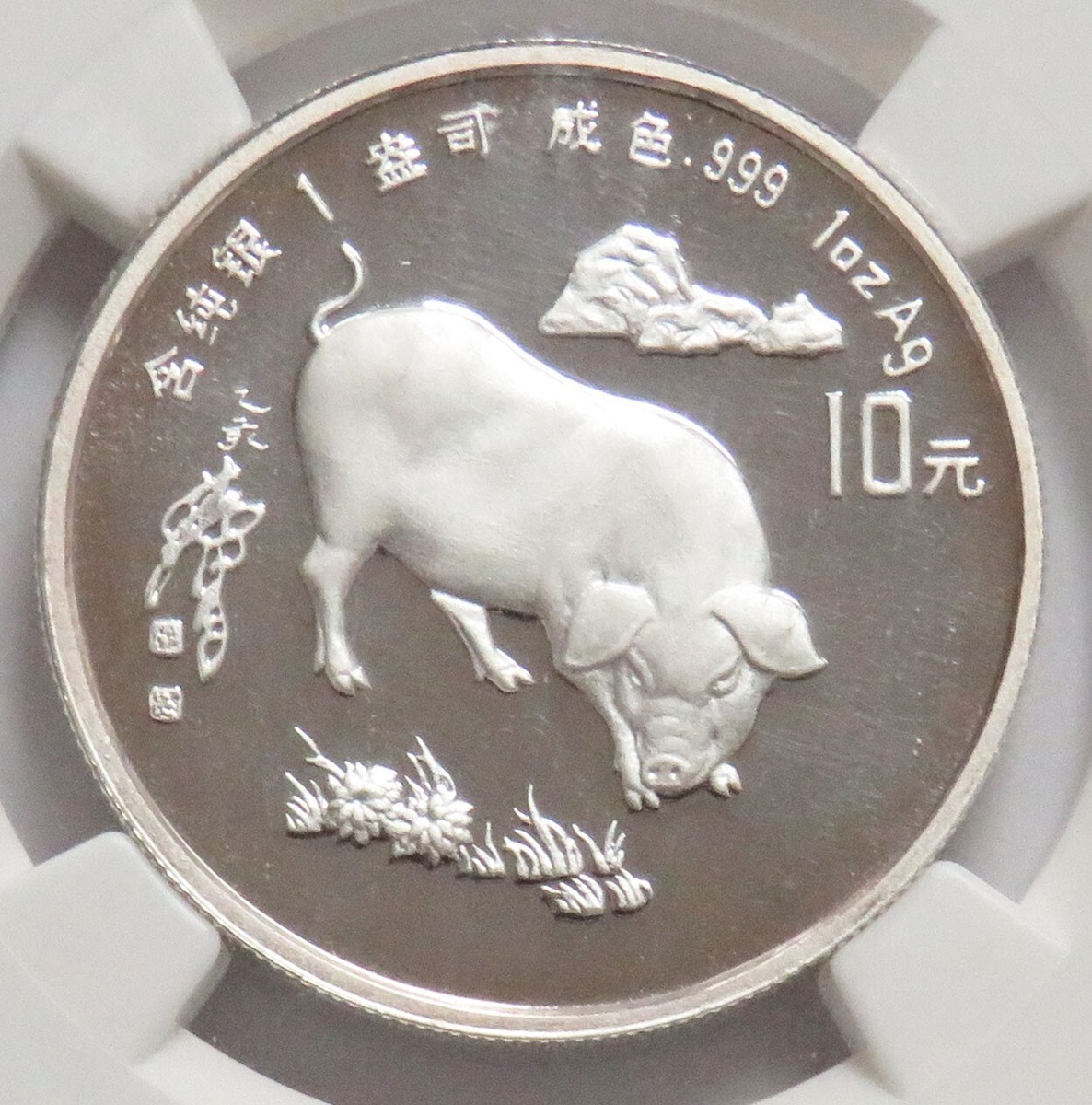 Pig ☆ 1995 SILVER CHINA 10 YUAN LUNAR YEAR OF THE PIG 1 OZ PROOF