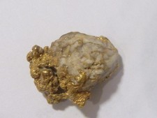 Genuine Gold Nugget  Specimen  in Quartz  6.58 Gram  From Empire Mine- Very Rare