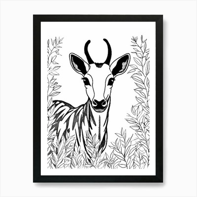 Line Art Jungle Animal Okapi 1 Art  Framed Wall Art Poster Canvas Print Picture