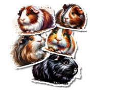Guinea Pigs Vinyl Stickers 3" For Laptops, Cups, Etc. Indoor, Water Resistant