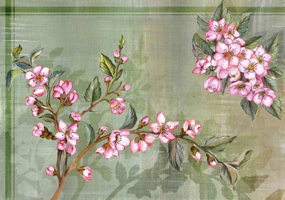 Carta Di Riso Per Decoupage Cm35x50 Ferrario Ct002010008 Fiore Di Pesco Ebay
