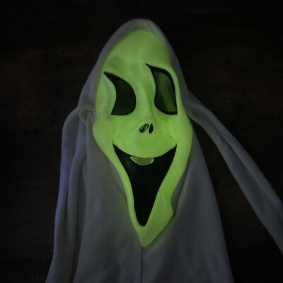 Scream Silly Ghostface Mask White Hood Fun World Div Glow In The Dark **