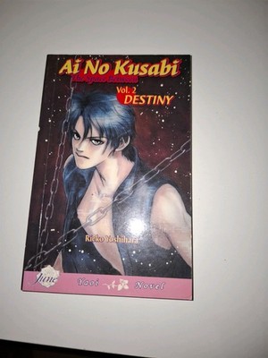 Ai no Kusabi Volume 2 English Yaoi BL Novel manga