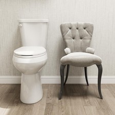 HOROW Two Piece Toilet 1.28 GPF Single Flush MAP 1000g 21 Inch High Elongated