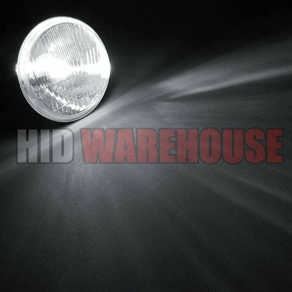 HID-Warehouse HID  Bulbs - Bi-Xenon H4 / 9003 5000K - Bright White(1 Pair) - Image 4 of 4