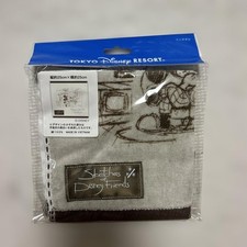Tokyo Disney Resort Mini Towel