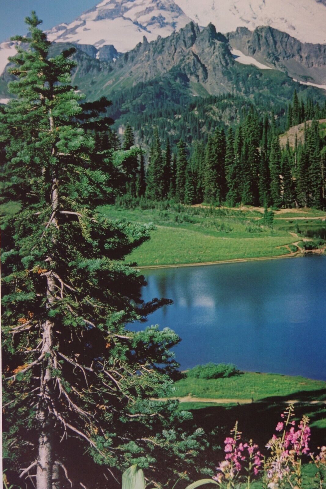 Picture 3 of 5
