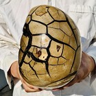 15.4LB Natural Turtle Back Stone Dragon Crystal Cave Crack Gem Healing — photo 8