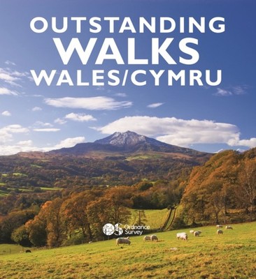 OUTSTANDING WALKS WALES by MILESTONE PUBLISHING Paperback Self Help Business