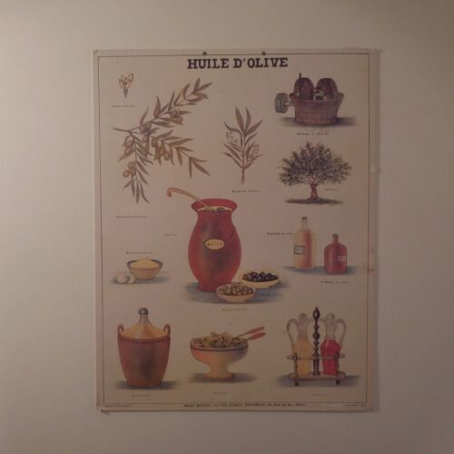 N2024 Tableau affiche huile olive musée scolaire LES FILS d’EMILE DEYROLLE Paris