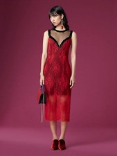 chinese dress ladies Flounce Lace Mini Dress – bebe main image 1