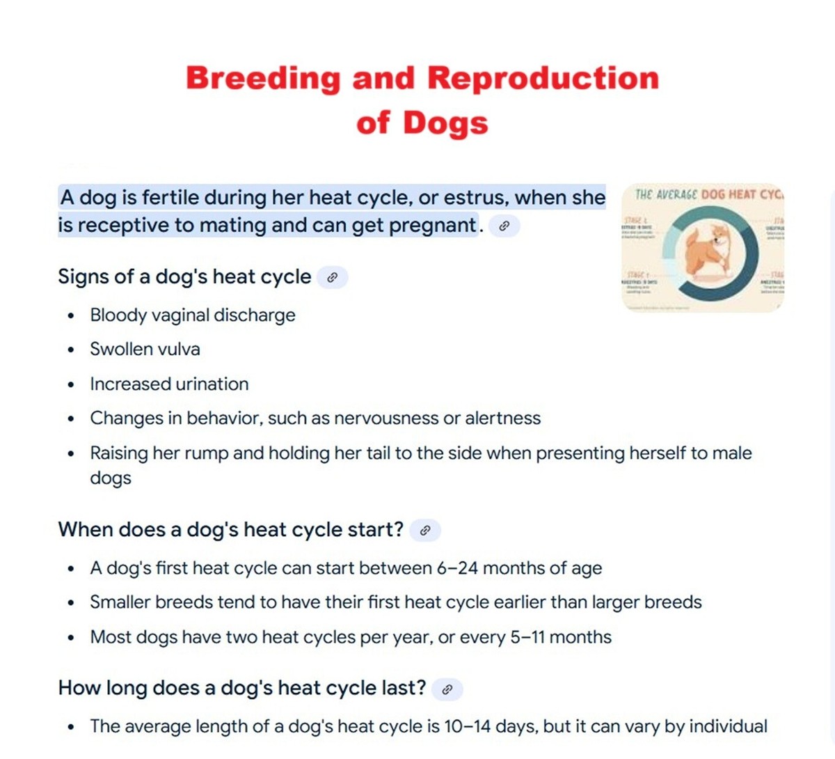 In Heat I Want To Breed My Female Dog Get Stuck Together Female