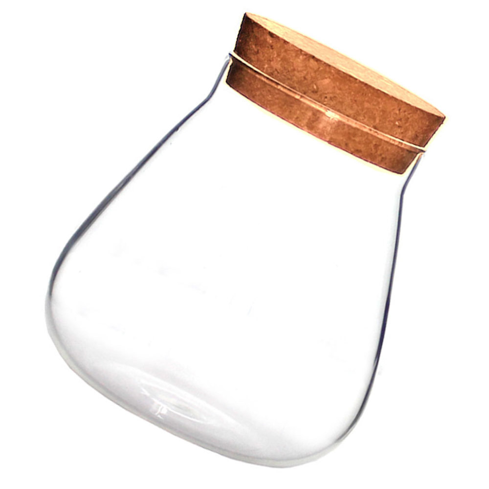 1Pc Clear Bubble Bowl Terrarium for DIY Micro Landscape Plant Crafts