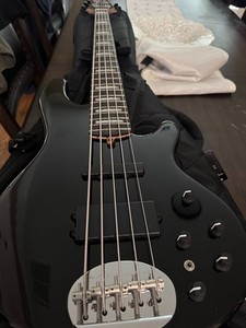 Lakeland shoreline series ジャンク Lakland Skyline | eBay