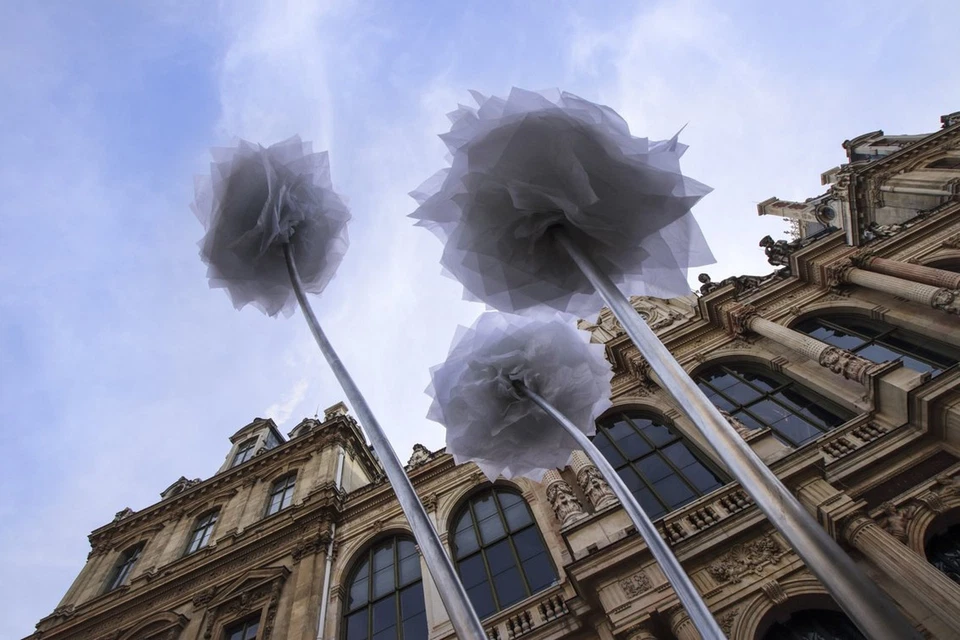 Tamron Exchange Lente 10-24mm F3.5-4.5 Di II Vc Hld (Modelo B023) [ Nikon F-Moun - Imagen 4 de 4