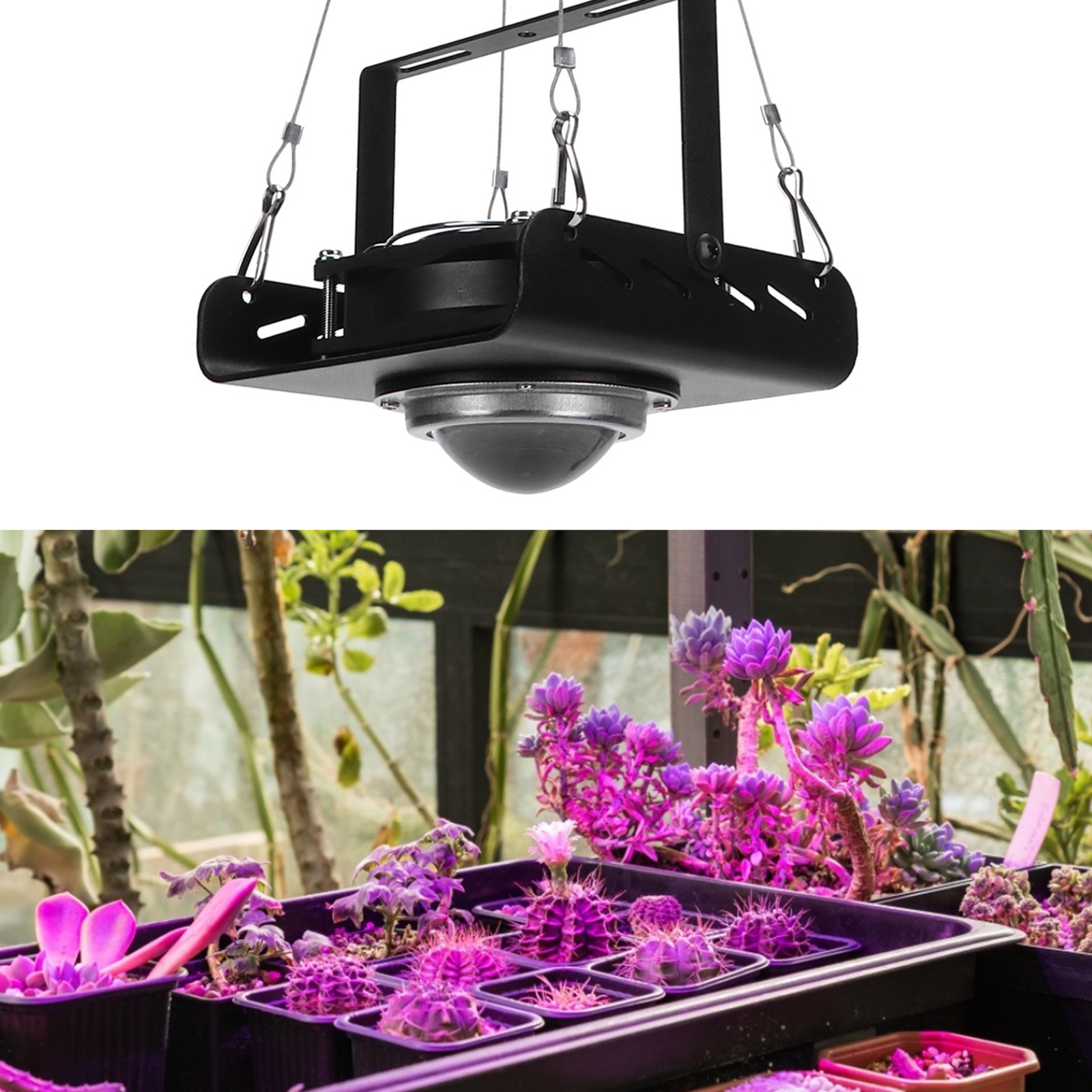 HG Black COB Plant Grow Lamp 300W LED Grow Lights Full Spectrum Plant