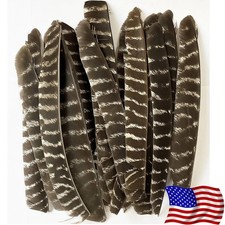 50X Archery Full Length Arrow Feathers Fletches Turkey Fletching RW LW Shaft DIY