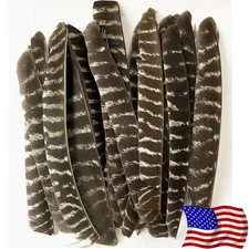 50X Archery Full Length Arrow Feathers Fletches Turkey Fletching RW LW Shaft DIY