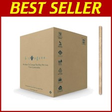 1650 Jumbo Agave Straws  Eco-Friendly Biodegradable