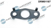 Dr.Motor Automotive Dichtung, ÖLauslass (Lader) DRM01187 FüR Alfa Romeo Ford