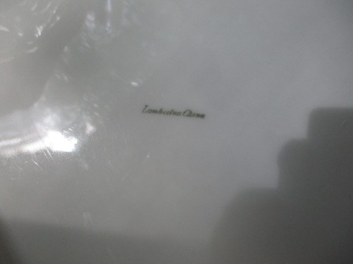 Restaurant Ware Belvedere Hotel Baltimore Gigantic Platter 17" Lamberton China - Picture 4 of 4