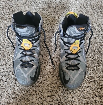 Lebron James Nike Sneakers size 12 Revlon Wolf/ Guru