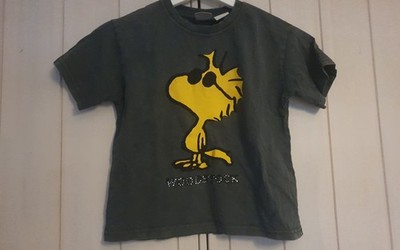 Shirt Tshirt Zara 116 120 122 Grau Peanuts Woodstock Unisex