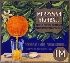 Exeter Tulare County Merryman Highball Orange Citrus Fruit Crate Label Art Print