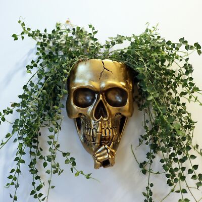 Skull Hanging Plant Pot for Home Décor,Spooky Skull Wall Planters for Indoor out