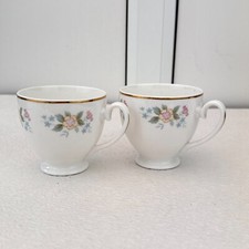 Pair Vintage Mayfair Bone China Teacups Elegant Tea Coffee Drinkware Set