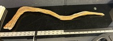 Long Florida Driftwood Natural Curved Branch Coastal Decor Aquarium 24 In Rifle