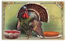 Early 1900's Thanksgiving Postcard, Large Wild Turkey, Pumpkin Pie