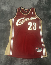Nike Cleveland Cavaliers LeBron James 23 NBA Jersey Red/Gold Men  s M 2
