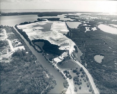 Aerial graph CAYA Costa FL State Park Sky Tree Vintage Original Vintage Photo