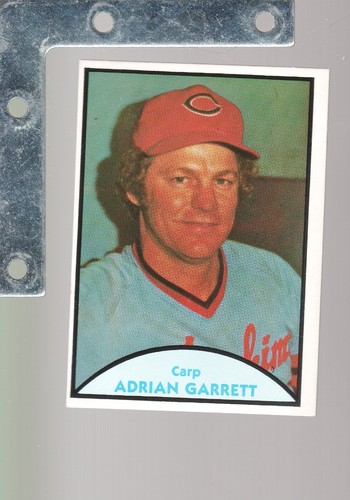 Singles de béisbol profesional japonés TCMA 1979 ¡NÍLIDOS! EX+ ¡Elige de la lista hasta 45% de descuento! - Imagen 31 de 89