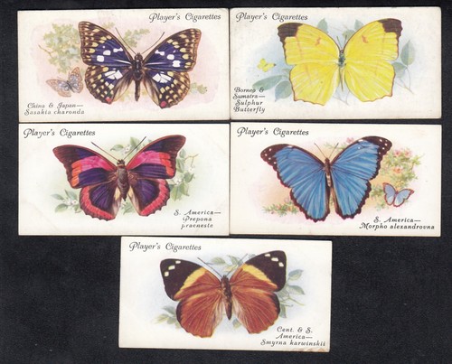 Five Vintage 1932 BUTTERFLIES Cards China Japan Borneo Sumatra S & C America