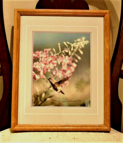 Thomas D. Mangelsen Photograph Calliope Hummingbird Ltd Edition Signed #248/550