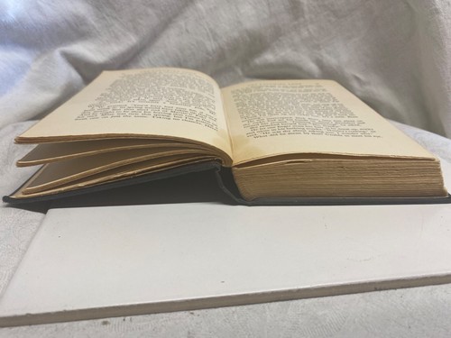 The Laughing Loon by Josiah E. Greene 1939 Green Publishing 1st Edition Rare - Picture 8 of 10
