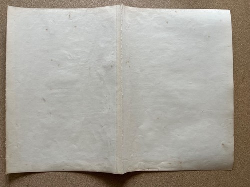 Large antique engraving arctic exploration Discovery of Greenland Eric 1875 - Picture 5 of 5