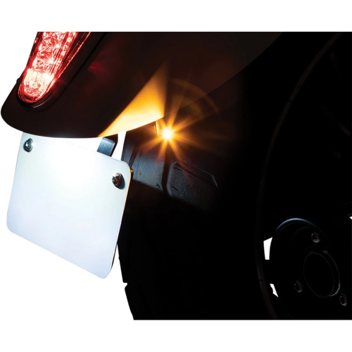 Custom Rear Turn Signal And License Plate Mount For Indian - Imagen 2 de 5