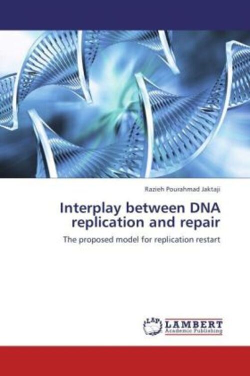 Thumbnail - Interplay Between Dna Replication And Repair | Razieh Pourahmad