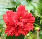 Bild 22 von 53