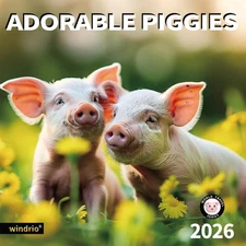 2026 Wall Calendar Adorable Piggies Nov 2025–Dec 2026, 12" x 24" Cute Pigs