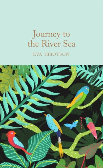 Journey to the River Sea by Eva Ibbotson (Hardback Book)