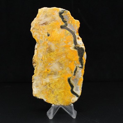 Bumblebee Jasper 110gr 100mm Indonesia