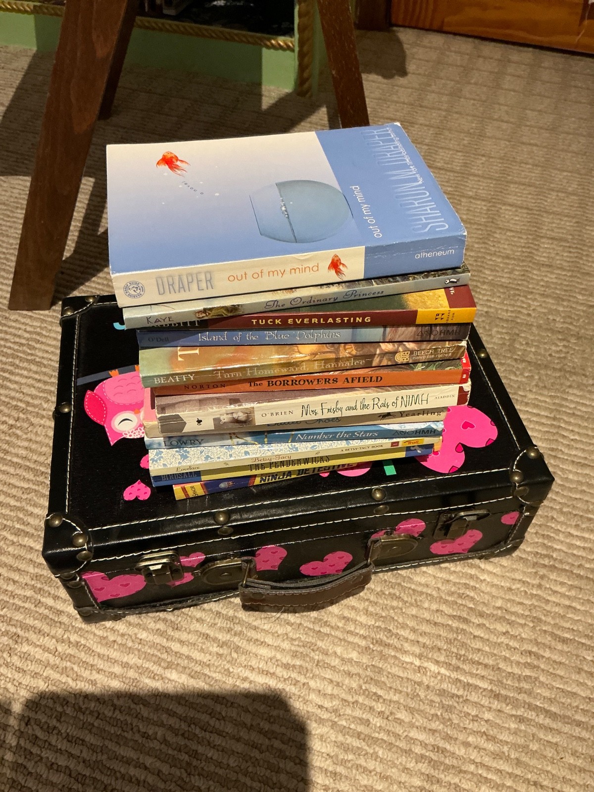 Suitcase LOT of Chapter Books GIRLS  interest 12 Various Fiction Adventure—Good-image